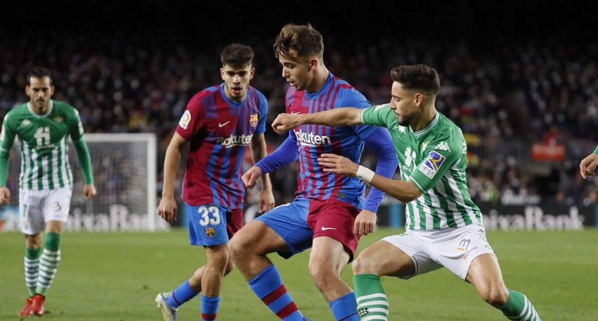 以极快的速 以极快的速