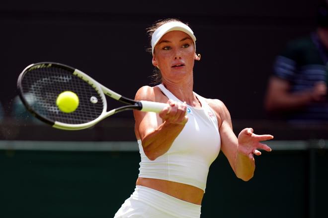 不仅体现了 不仅体现了